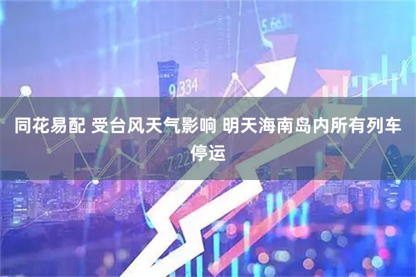 同花易配 受台风天气影响 明天海南岛内所有列车停运