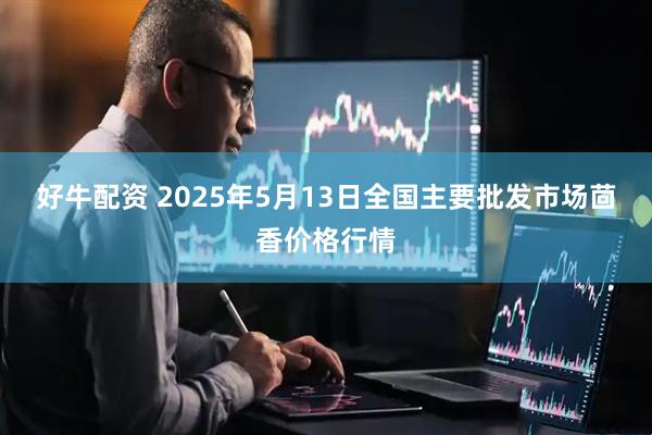 好牛配资 2025年5月13日全国主要批发市场茴香价格行情