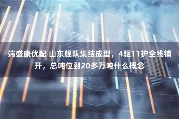 端盛康优配 山东舰队集结成型，4驱11护全线铺开，总吨位到20多万吨什么概念