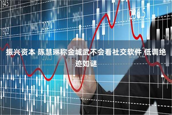 振兴资本 陈慧琳称金城武不会看社交软件 低调绝迹如谜